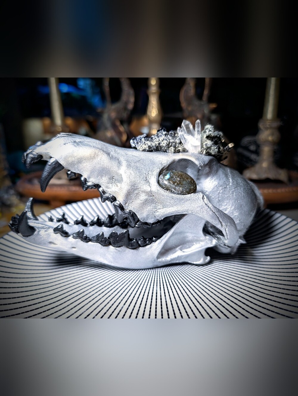Genuine hand painted coyote skull with galena